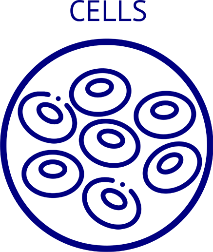 Quantum Frequency