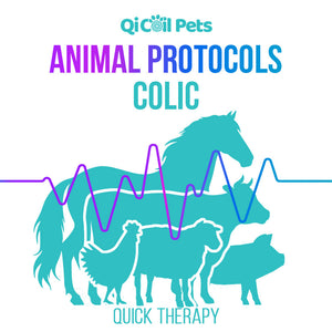 Colic - Quick Protocol - Animal - Qi Life Store 