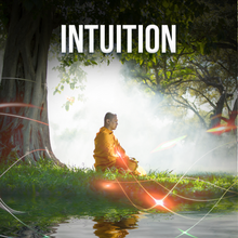 Load image into Gallery viewer, Complete Higher Quantum Frequency Collection - Qi Life Store 