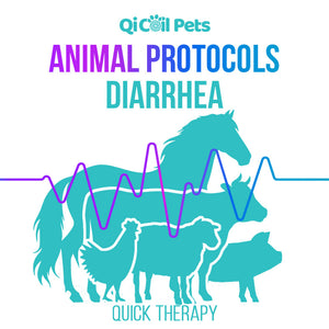 Diarrhea - Quick Protocol - Animal - Qi Life Store 