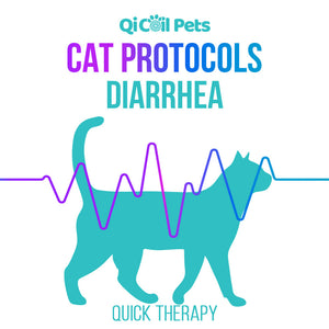 Diarrhea - Quick Protocol - Feline - Qi Life Store 