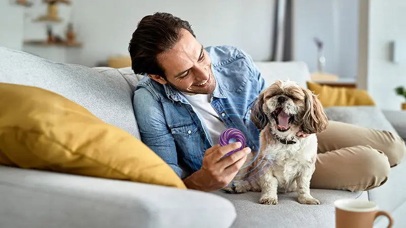 Top 29 Animal Protocols - Approved By Veterinarians