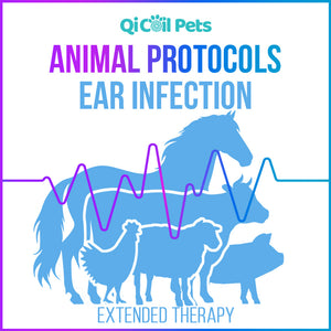 Ear Infection - Extended Protocol - Animal - Qi Life Store 