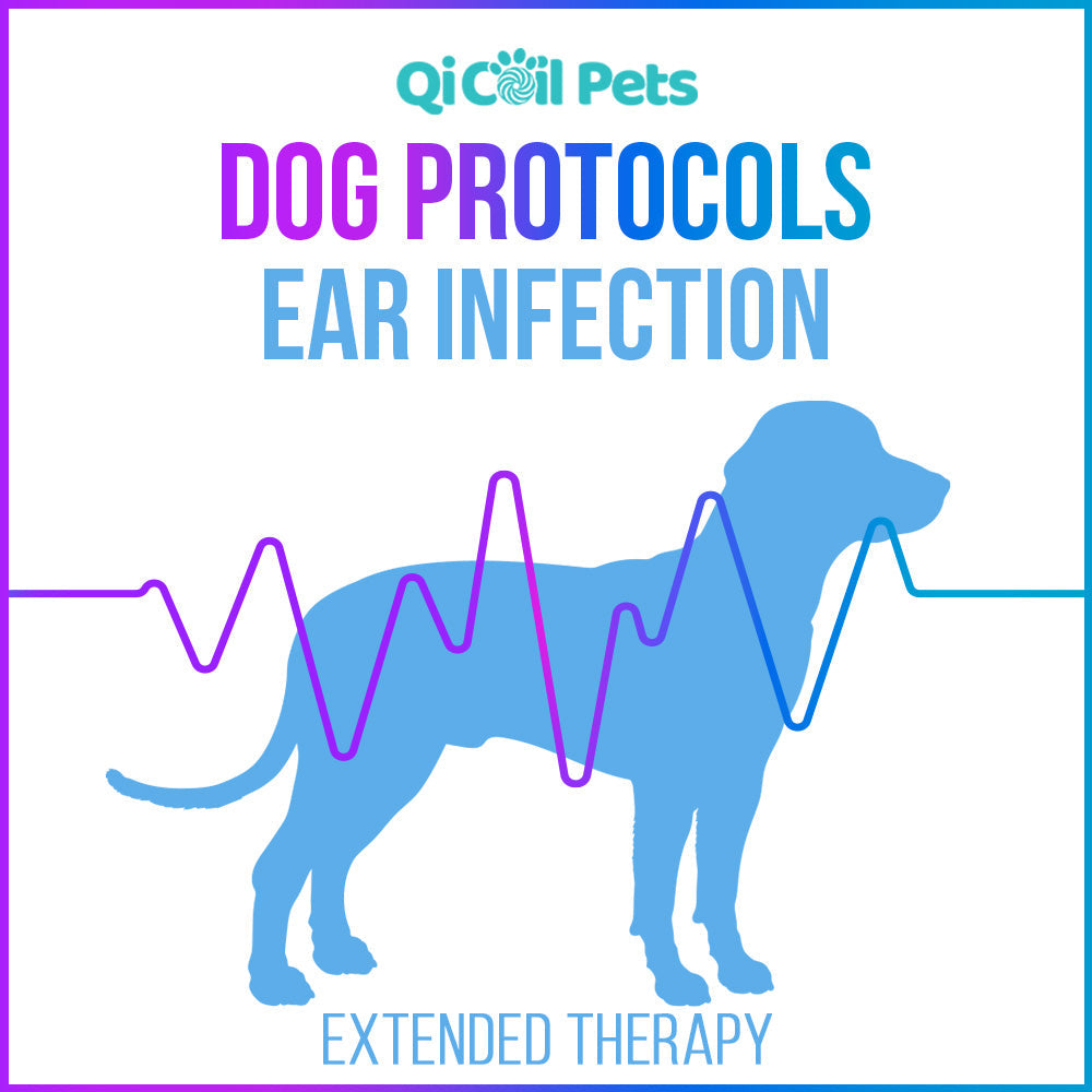 Ear Infection - Extended Protocol - Canine - Qi Life Store 