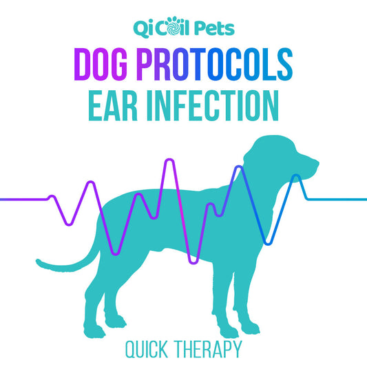 Ear Infection - Quick Protocol - Canine - Qi Life Store 