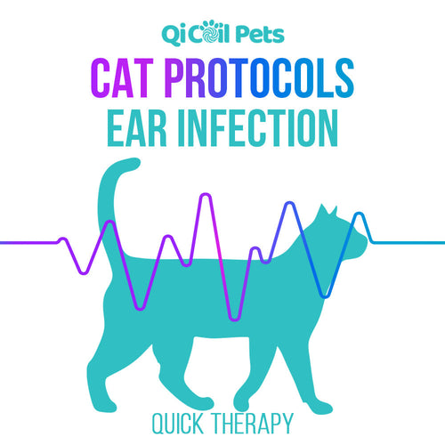 Ear Infection - Quick Protocol - Feline - Qi Life Store 