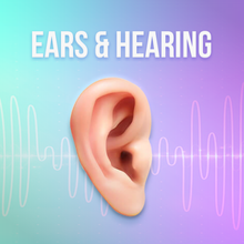 Mag-load ng larawan sa viewer ng Gallery, Ears &amp; Hearing Rife Frequencies