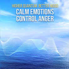 Load image into Gallery viewer, Emotional Healing and Recovery: Depression, Anxiety and PTSD [60% OFF] - Qi Life Store 