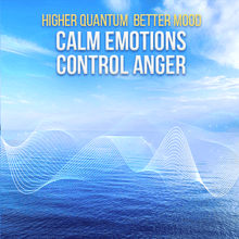 Load image into Gallery viewer, Emotional Healing and Recovery: Depression, Anxiety and PTSD - Qi Life Store 