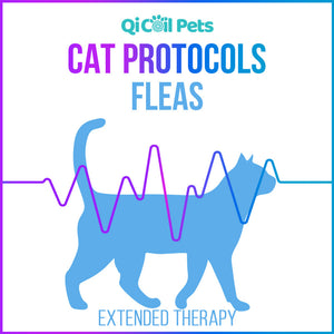 Fleas - Extended Protocol - Feline - Qi Life Store 