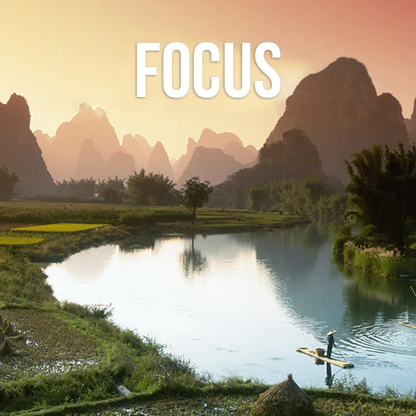 Focus: Eliminate Distractions - Qi Life Store 