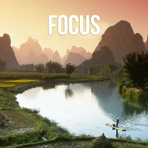 Focus: Eliminate Distractions