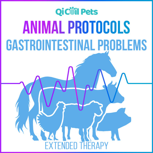 Gastrointestinal Problems - Extended Protocol - Animal - Qi Life Store 