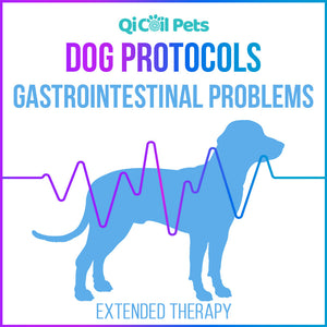 Gastrointestinal Problems - Extended Protocol - Canine - Qi Life Store 