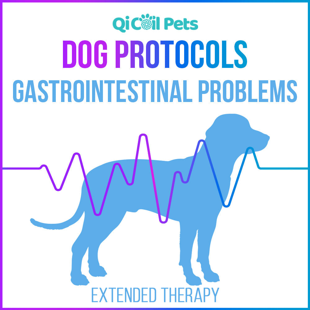 Gastrointestinal Problems - Extended Protocol - Canine - Qi Life Store 