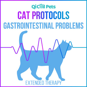 Gastrointestinal Problems - Extended Protocol - Feline - Qi Life Store 