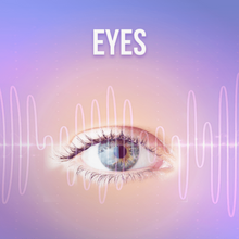 Load image into Gallery viewer, Glands - Rife+ Frequency Protocols - Qi Life Store 