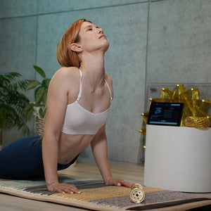 Gold Practitioner System Plus - Qi Life Store 