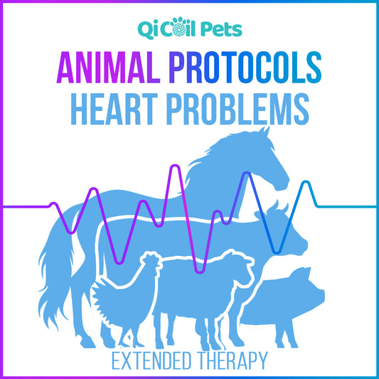 Heart Problems - Extended Protocol - Animal - Qi Life Store 