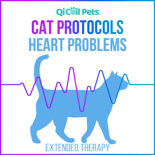 Heart Problems - Extended Protocol - Feline - Qi Life Store 