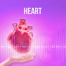 Load image into Gallery viewer, Heart - Rife+ Frequency Protocols - Qi Life Store 