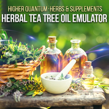 Bild in Galerie-Viewer laden, Herbs and Supplements Bundle - Qi Life Store 