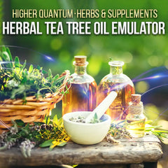 Herbs and Supplements Bundle