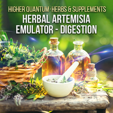 Bild in Galerie-Viewer laden, Herbs and Supplements Bundle - Qi Life Store 