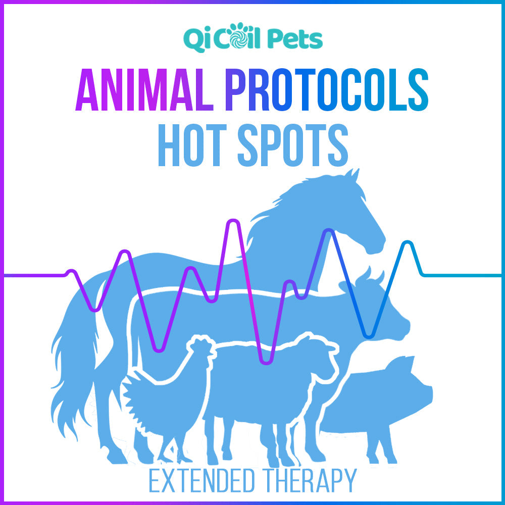 Hot Spots - Extended Protocol - Animal - Qi Life Store 