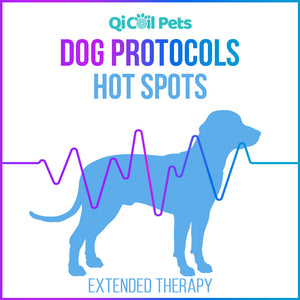 Hot Spots - Extended Protocol - Canine - Qi Life Store 