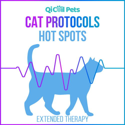 Hot Spots - Extended Protocol - Feline - Qi Life Store 