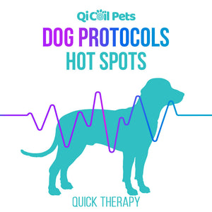 Hot Spots - Quick Protocol - Canine - Qi Life Store 