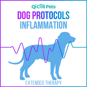 Inflammation - Extended Protocol - Canine - Qi Life Store 