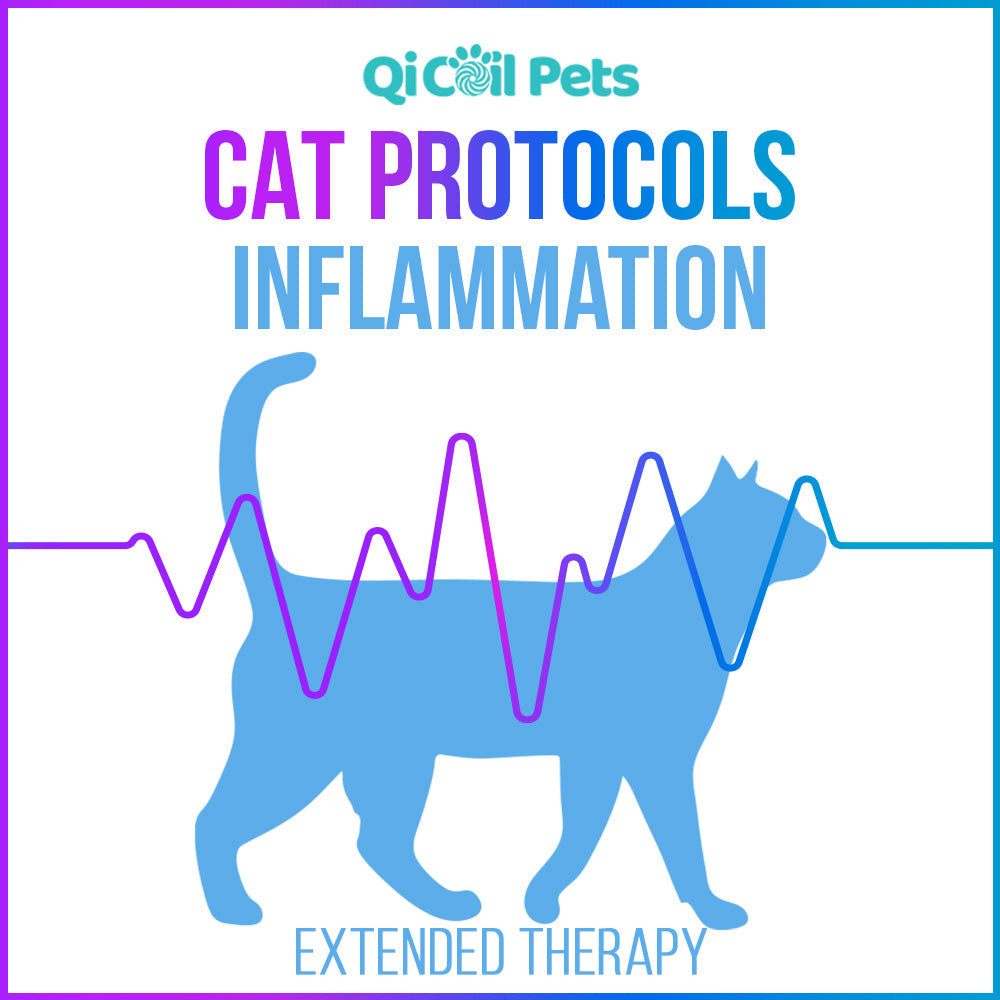 Inflammation - Extended Protocol - Feline - Qi Life Store 