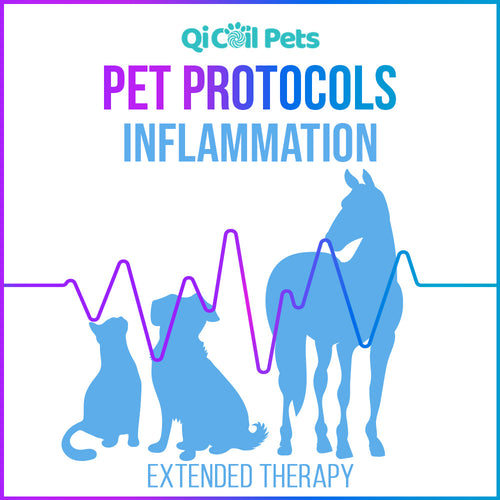 Inflammation - Extended Protocol