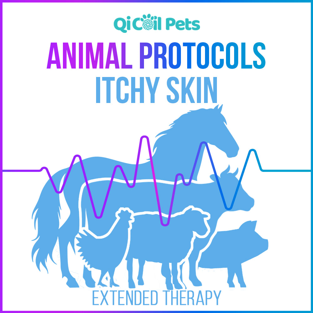 Itchy Skin - Extended Protocol - Animal - Qi Life Store 