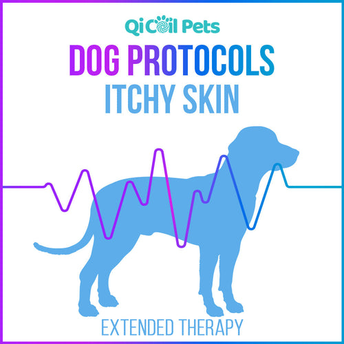 Itchy Skin - Extended Protocol - Canine - Qi Life Store 