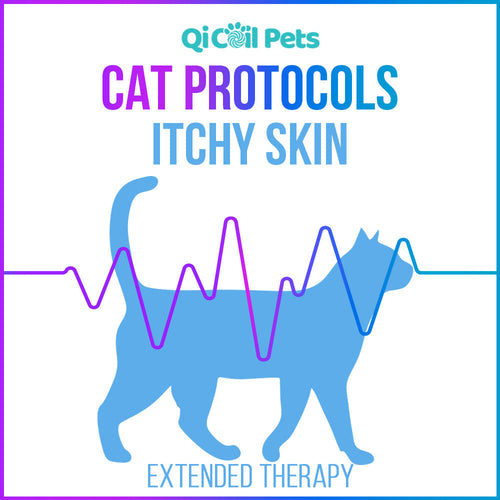 Itchy Skin - Extended Protocol - Feline - Qi Life Store 