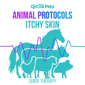 Itchy Skin - Quick Protocol - Animal - Qi Life Store 