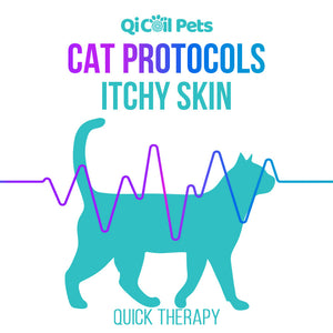 Itchy Skin - Quick Protocol - Feline - Qi Life Store 