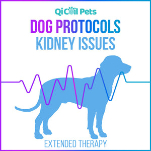 Kidney Issues - Extended Protocol - Canine - Qi Life Store 