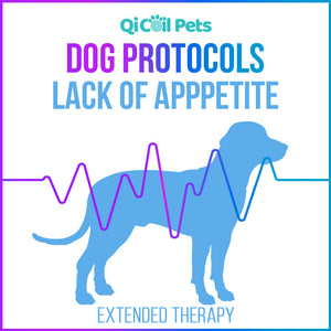 Lack Of Appetite - Extended Protocol - Canine - Qi Life Store 