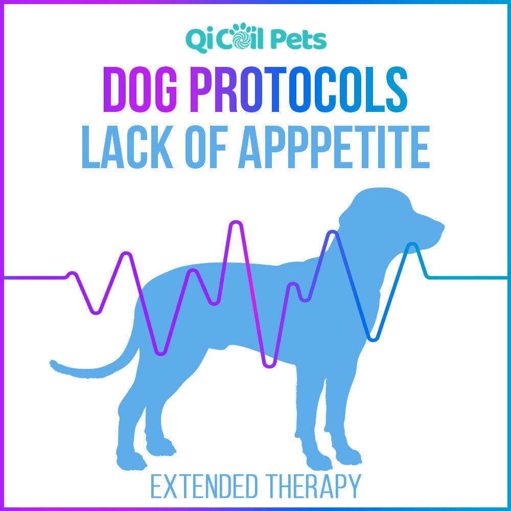 Lack Of Appetite - Extended Protocol - Canine - Qi Life Store 