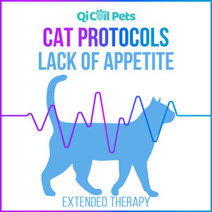 Lack Of Appetite - Extended Protocol - Feline - Qi Life Store 
