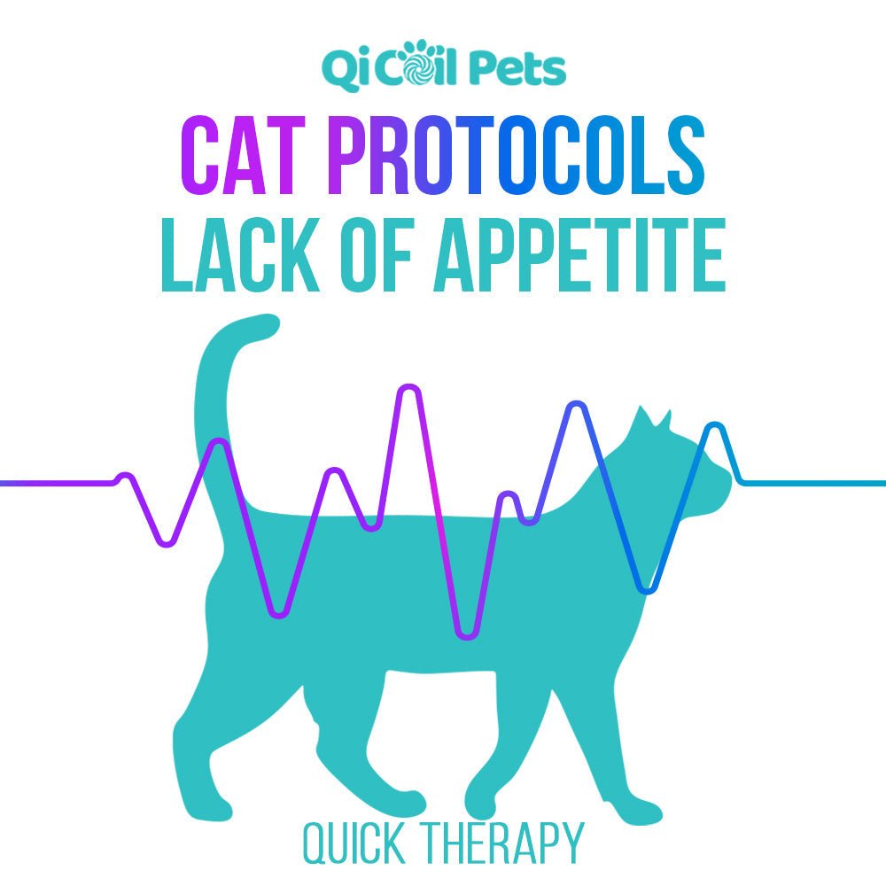 Lack Of Appetite - Quick Protocol - Feline - Qi Life Store 