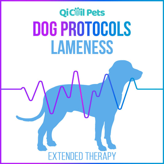 Lameness - Extended Protocol - Canine - Qi Life Store 