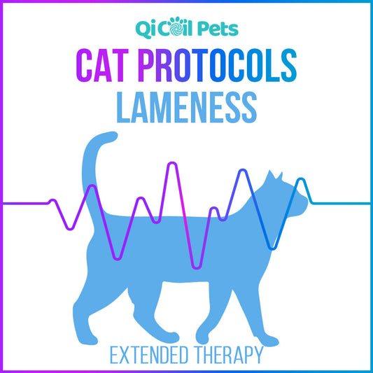 Lameness - Extended Protocol - Feline - Qi Life Store 