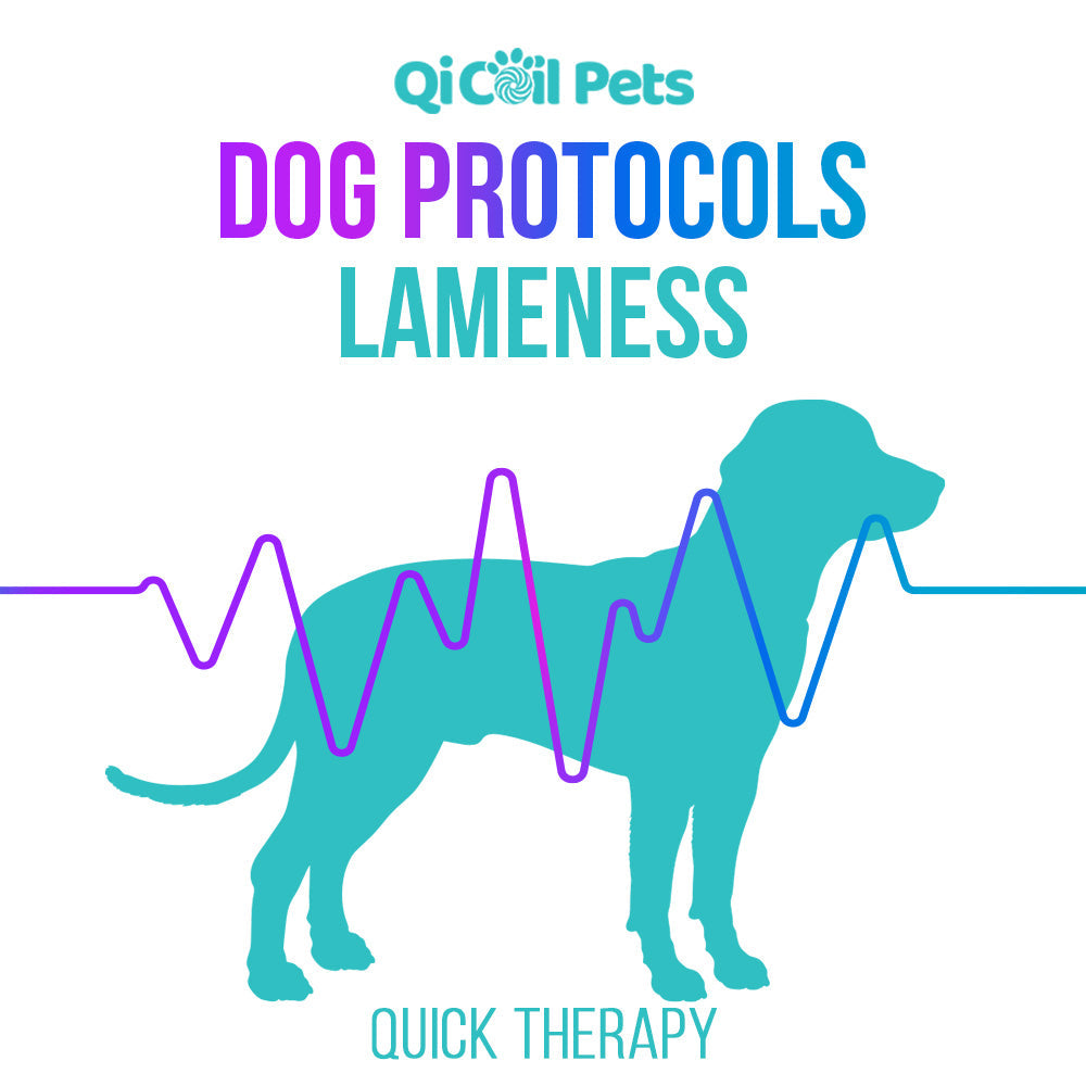 Lameness - Quick Protocol - Canine - Qi Life Store 