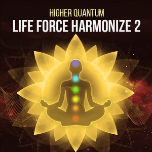 Life Force PLUS Collection - Qi Life Store 