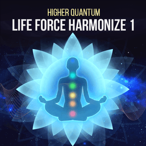 Life Force PLUS Collection - Qi Life Store 